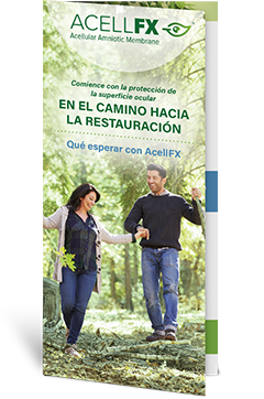 Package Brochure (Spanish)