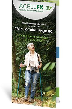 Package Brochure (Vietnamese)